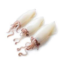 Calamar en tubo congelado ( relleno de aleta/tentaculo ) kg
