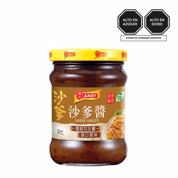 ΑΜΟΥ SALSA SATAY 205G FRA