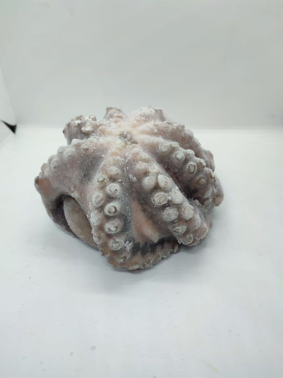 Pulpo Entero Evisc. PERU 800-1200 gr/pz IQF x 1kg , caja 12kg
