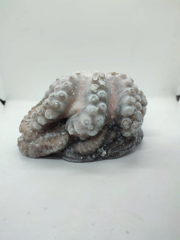 Pulpo Entero Evisc. Ind 500-800 gr/pz IQF x 1kg, Caja  X 12 Kg