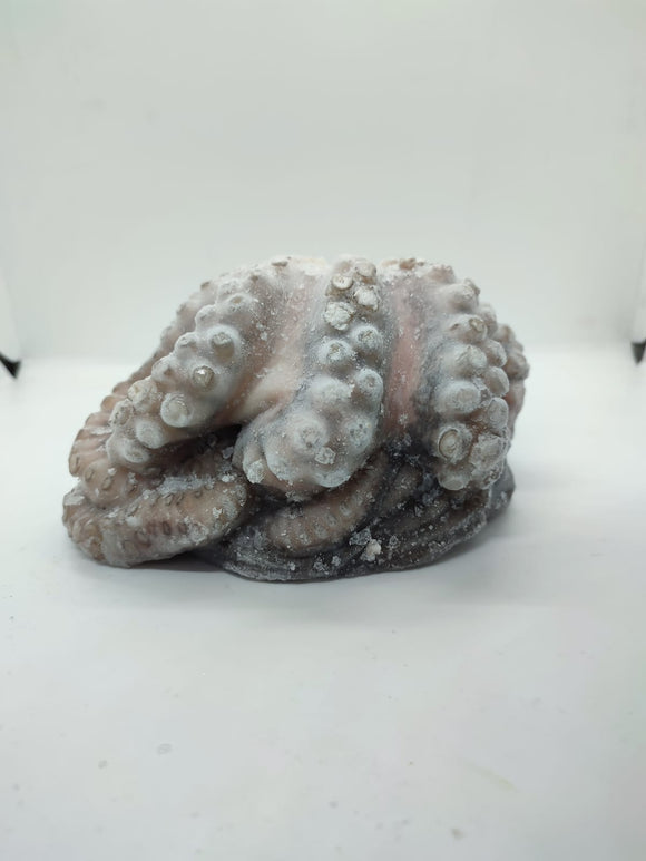 Pulpo Entero Evisc. Ind 500-800 gr/pz IQF x 1kg, Caja  X 12 Kg