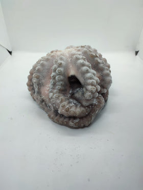 Pulpo Entero Evisc. Ind 200-500 gr/pz IQF x kg, caja 12kg