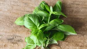 Albahaca lavada y lista para usar 1kg