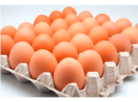 Huevos plancha 30 unid