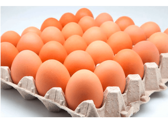 Huevos plancha 30 unid