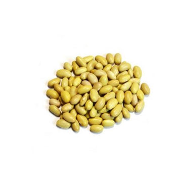 Canary beans packed per kg