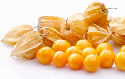 Aguaymanto x 1.5kg empacado