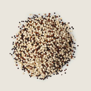 Comprar tricolor-x-kg Quinua x kg