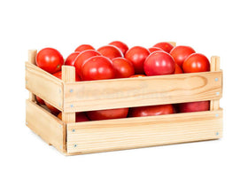 Tomate italiano de primera caja x 20kg