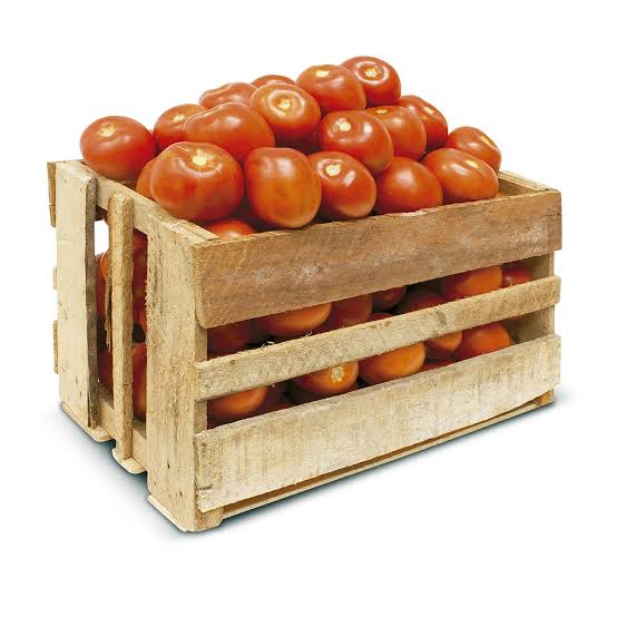 Italian tomato 2nd x box 20kg