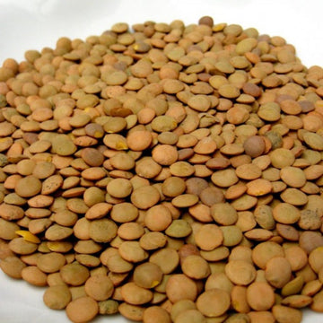 Lentils per kg